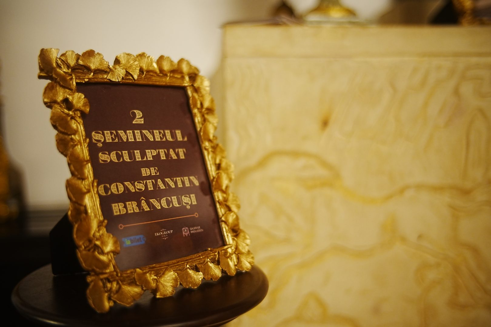 Casa Gheorghe Tătărescu din București: O mărturie a elitei interbelice și continuitatea EkoGroup Vila